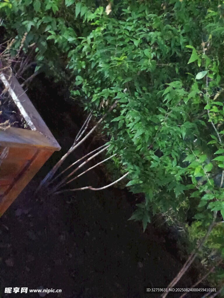 绿植景观中的木质结构一角