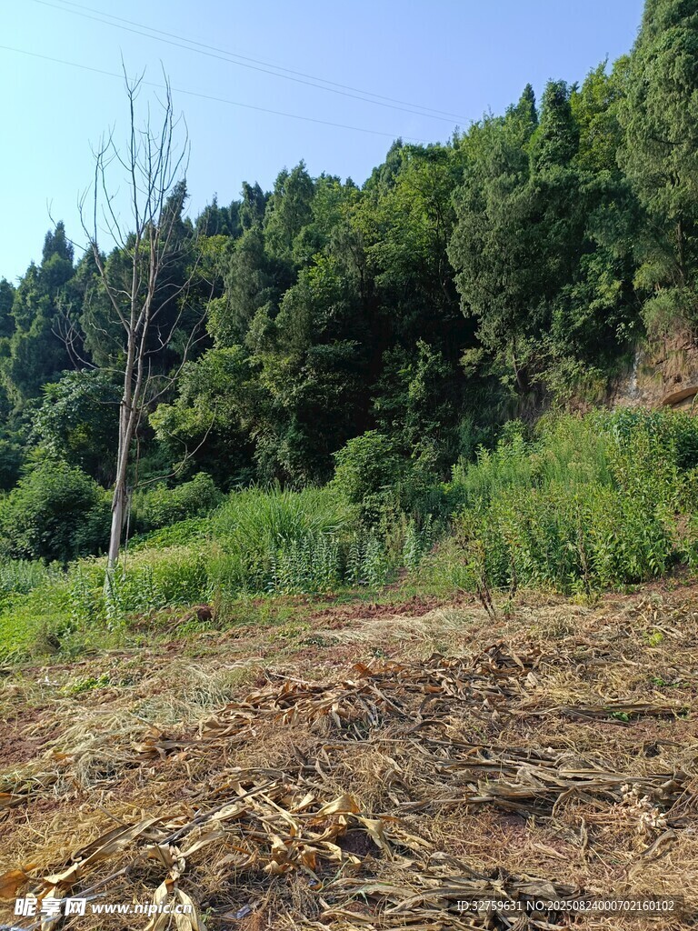 山林边的开阔土地