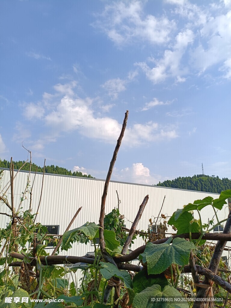湖畔绿植与开阔水域景致