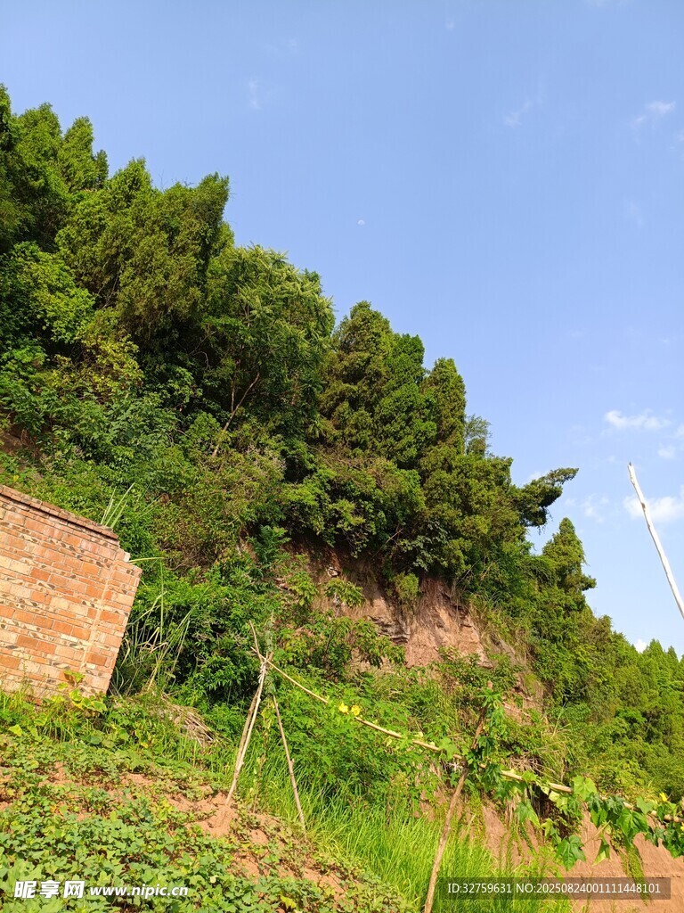 山坡绿植与砖石景致