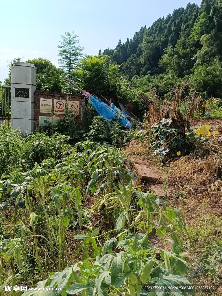 乡村荒废场景