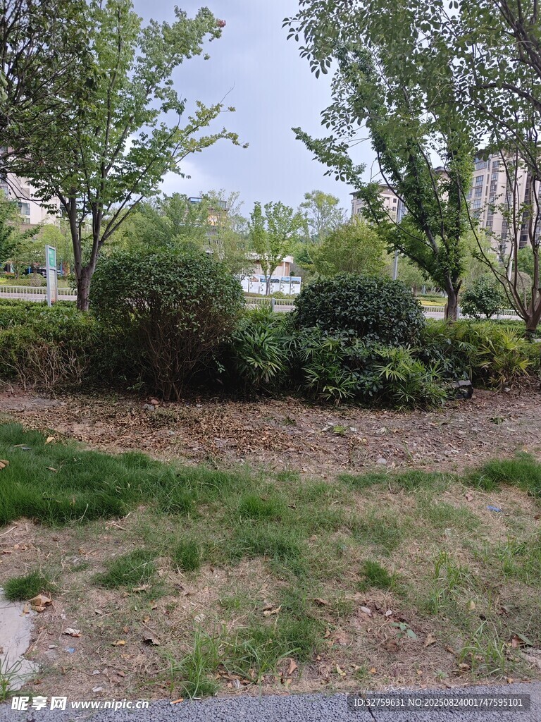 户外绿植景观一角