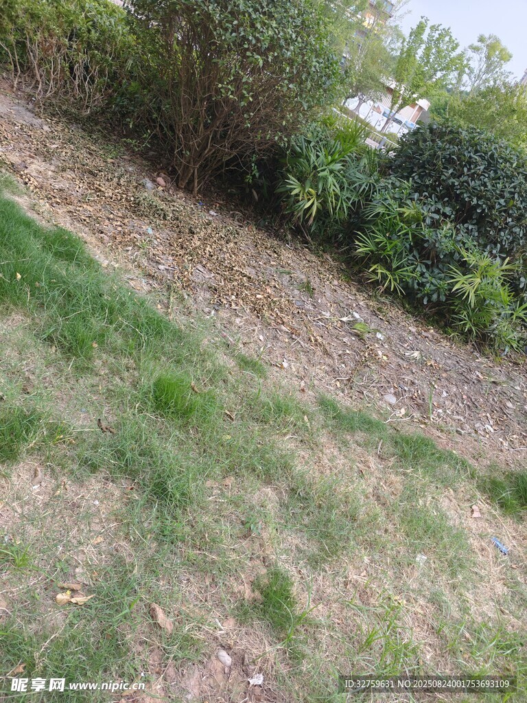 户外草地与植被景观