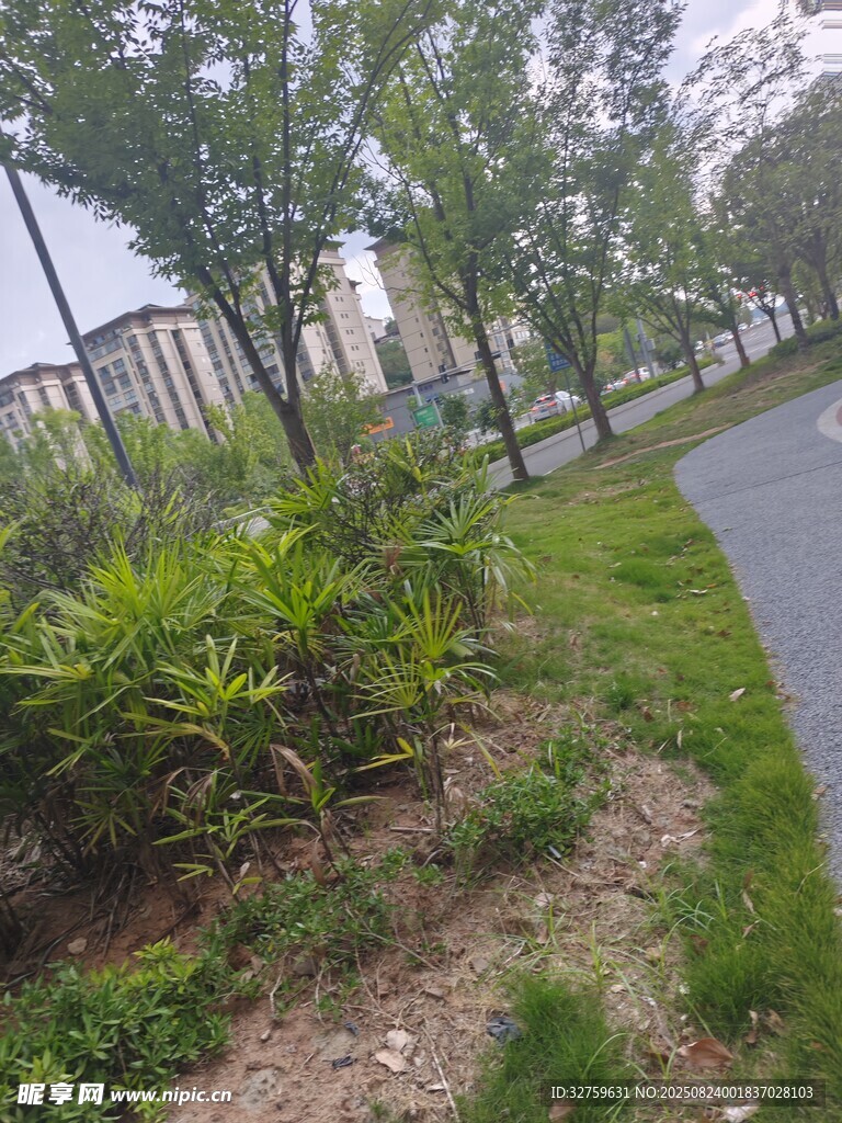 城市绿植环绕的幽静小路