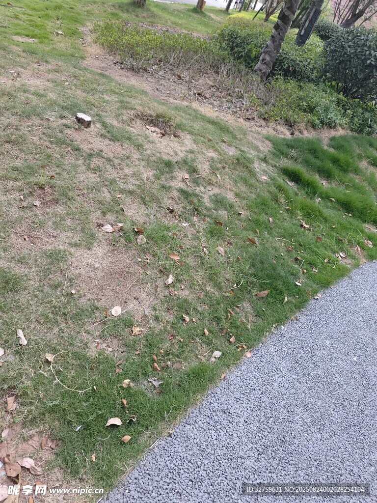 路边草地与碎石路面