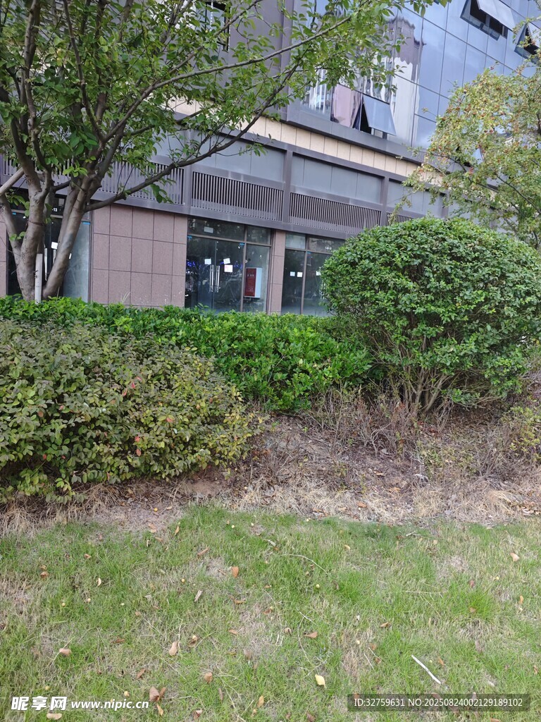 住宅周边绿植景观