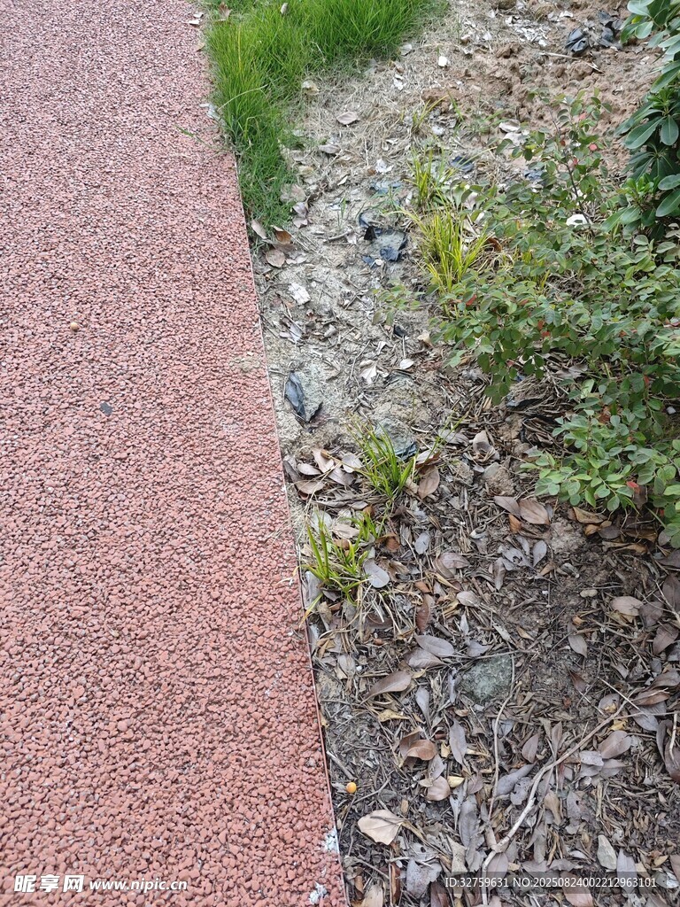 红色步道旁的绿植景观
