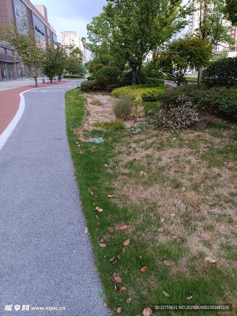城市路边绿化带景观
