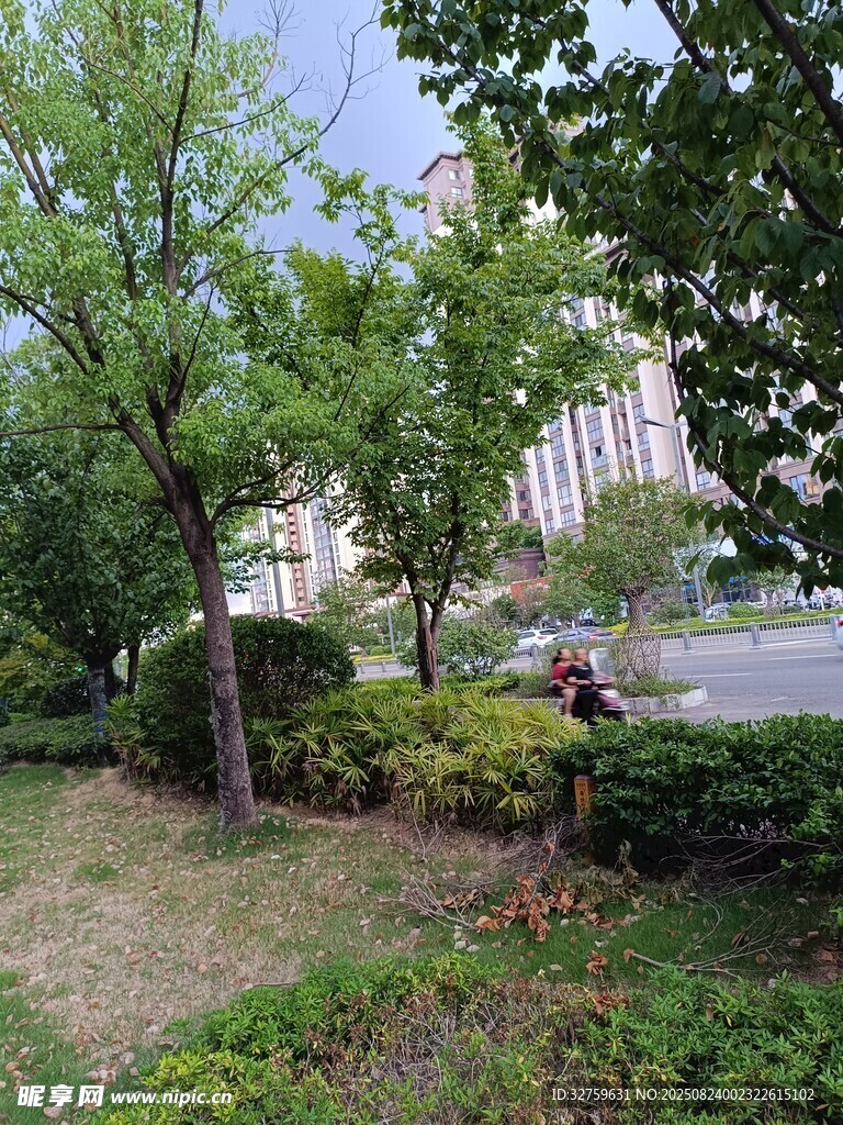 城市中的绿植与休闲场景