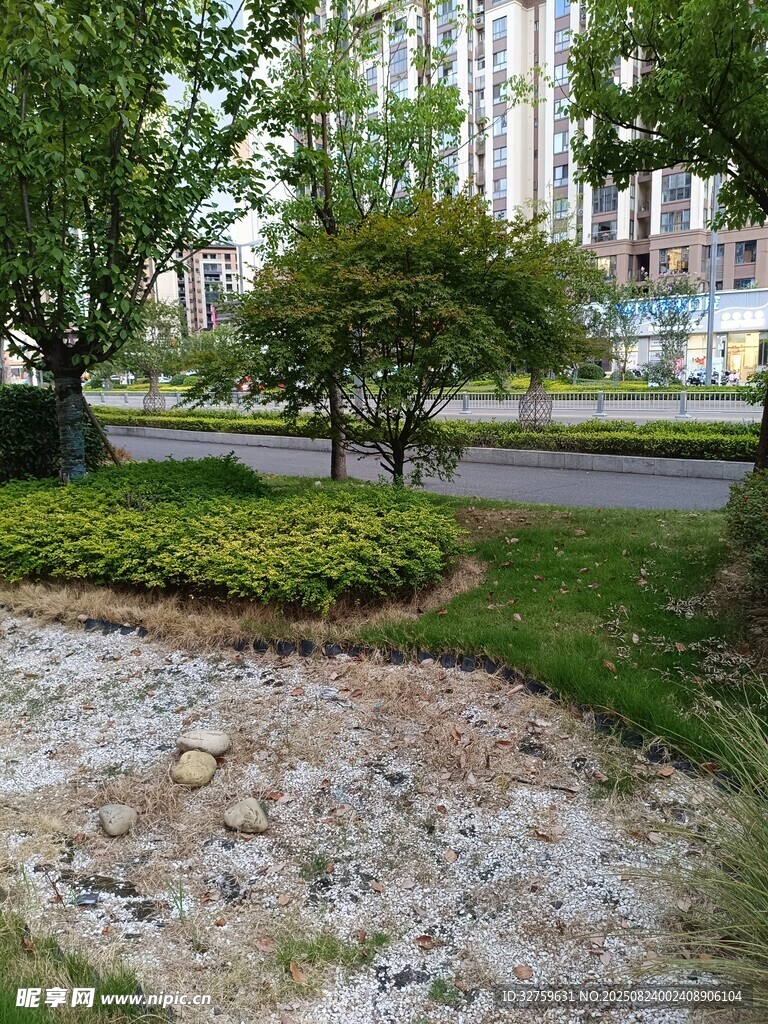 城市路边的绿化景观