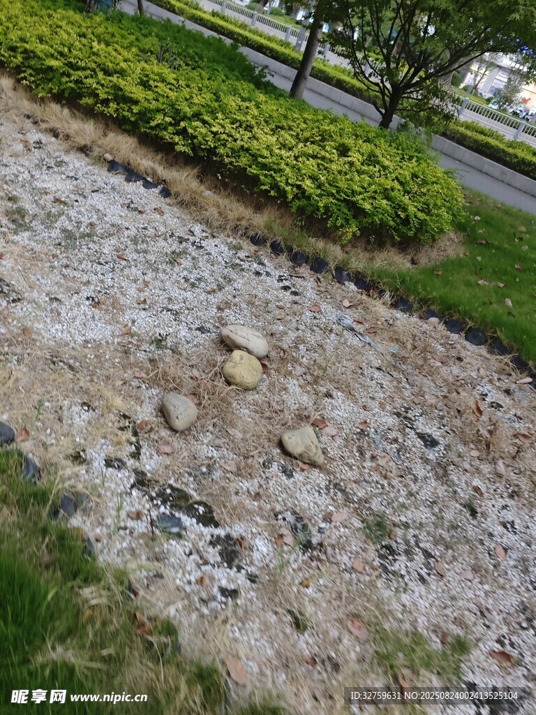 路边碎石与绿植景观