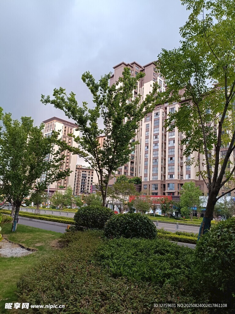 小区周边绿化景观