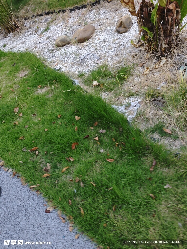 路边草地与沙石景观