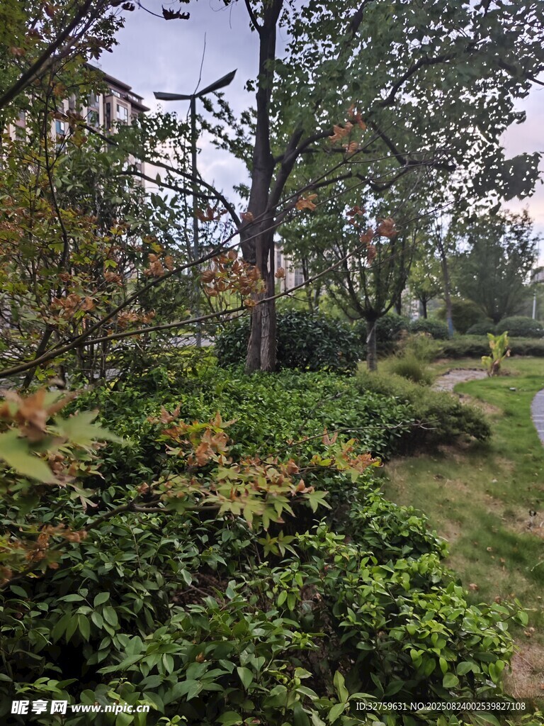 城市中的静谧绿植景观