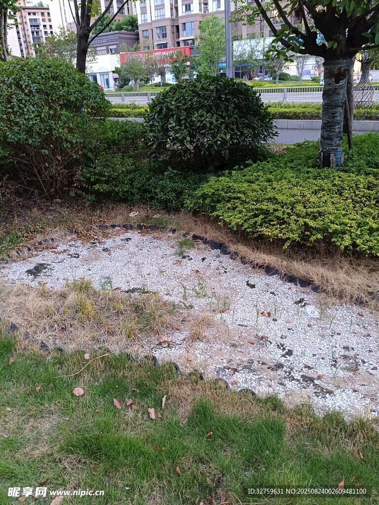 地面破损的小区绿化区域