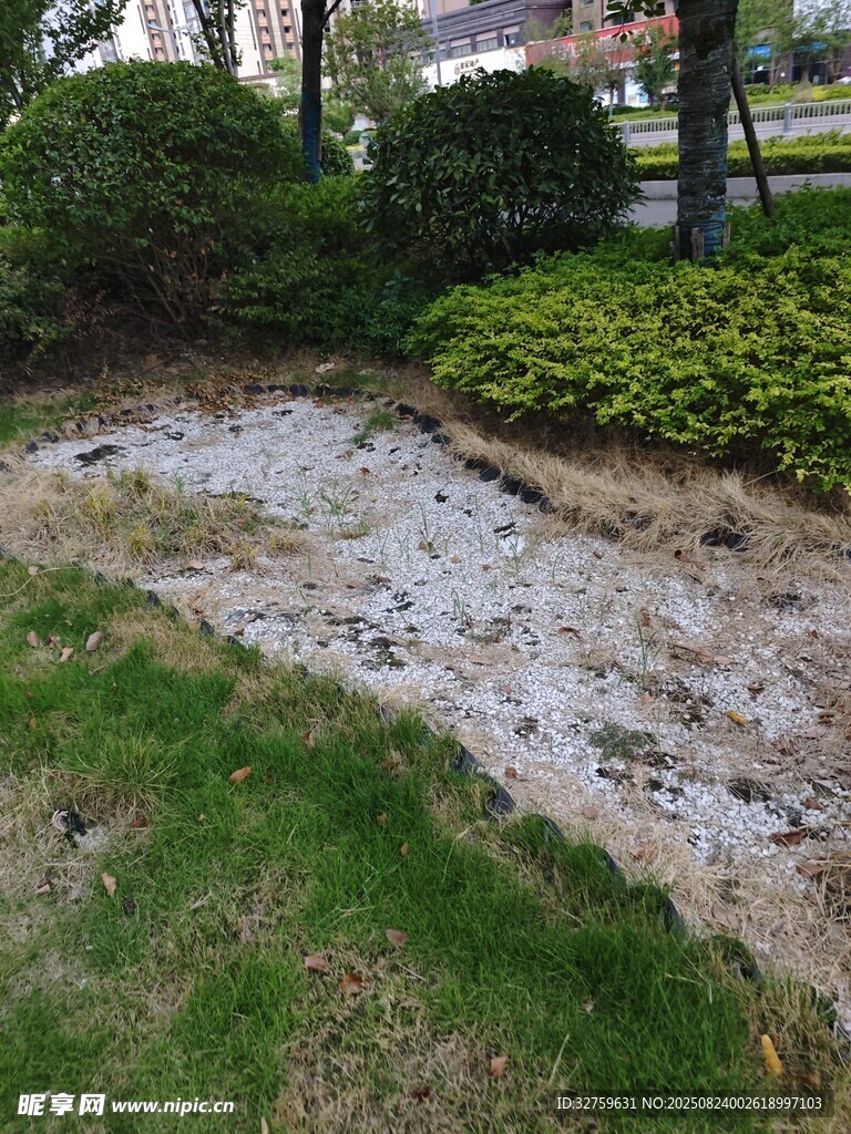 户外草地旁的沙石区域