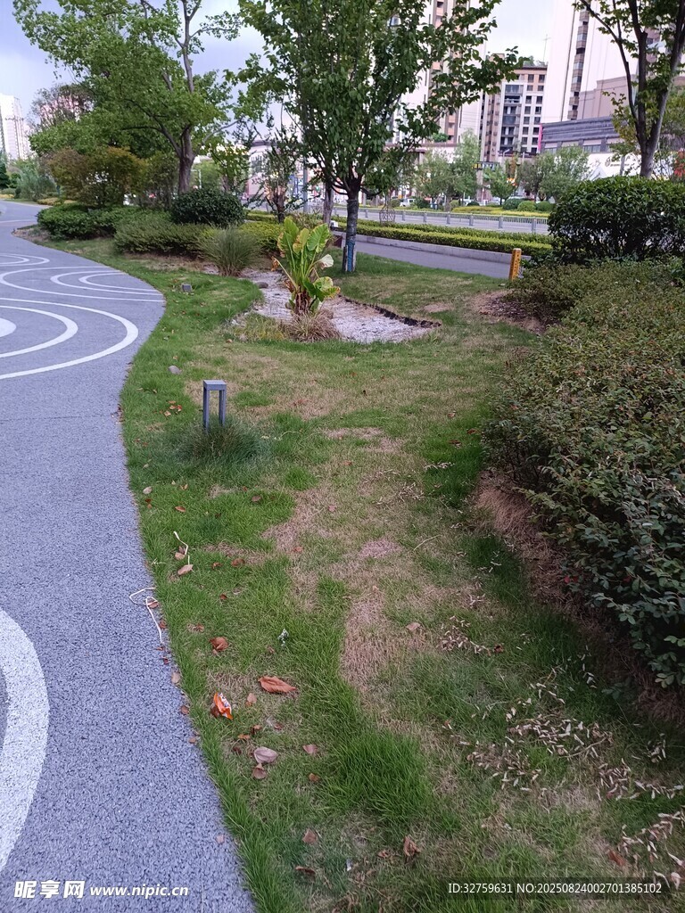 城市公园中的蜿蜒健身步道