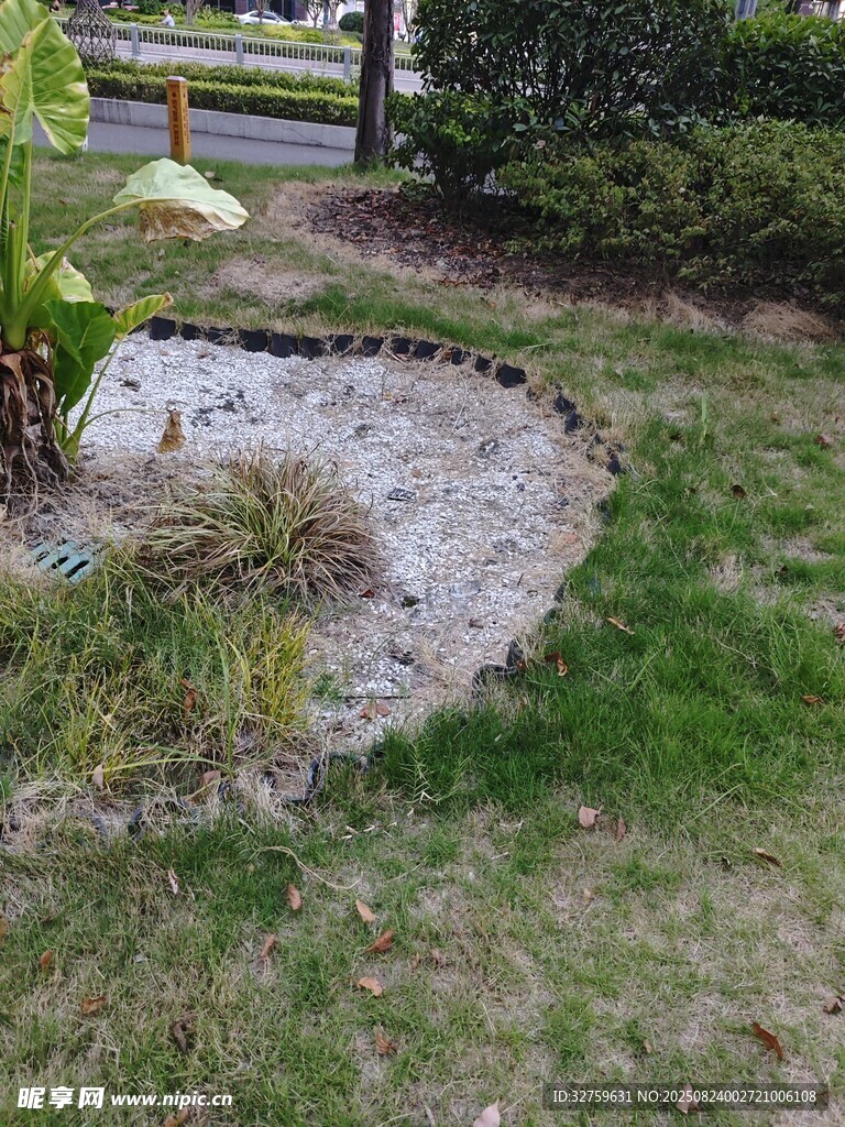 庭院中的碎石绿植景观