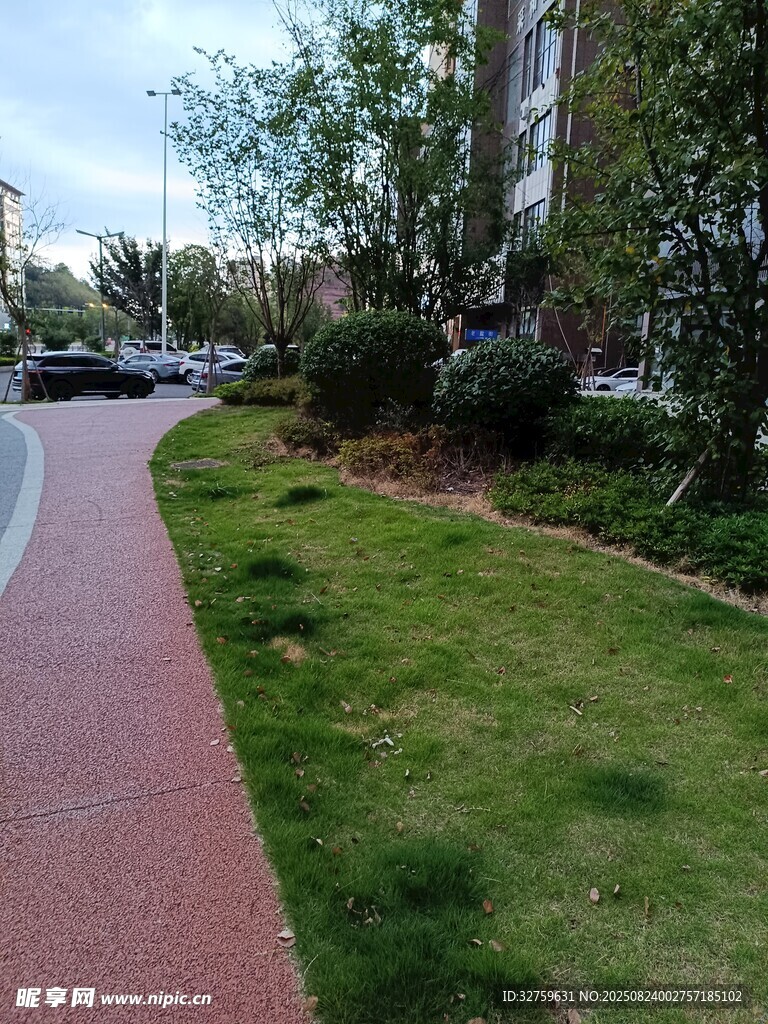 城市中整洁的彩色步道景观