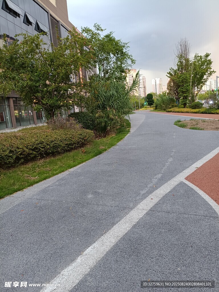 校园中铺设的宽阔沥青道路