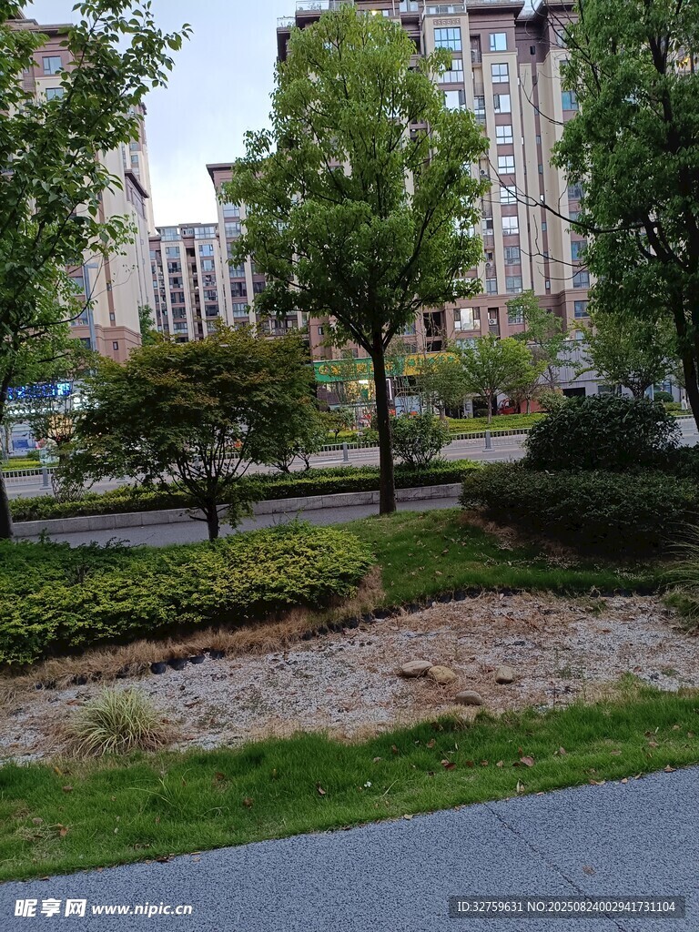 小区内的绿化景观一角