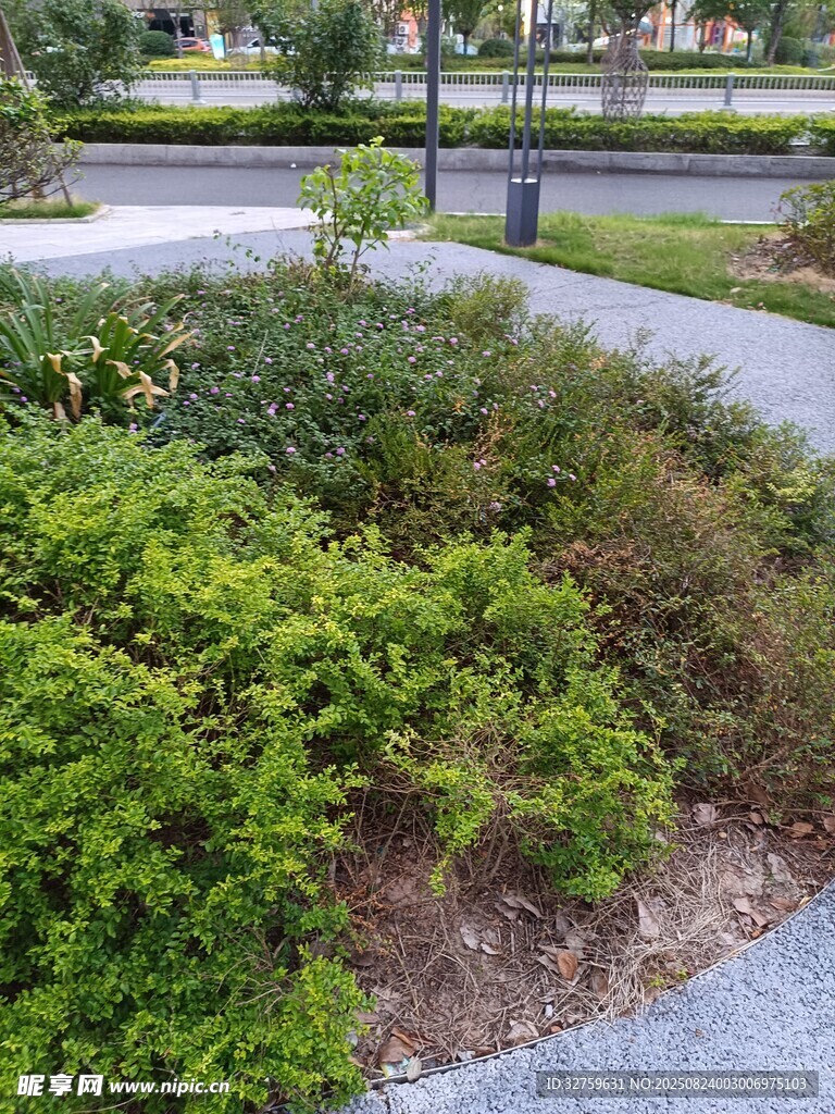 城市中的绿植景观角落
