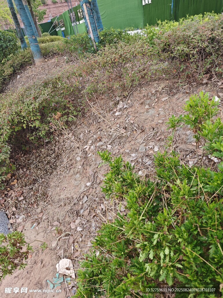 户外地面绿植景观