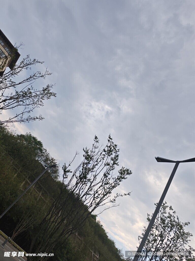 户外天空下的树木与路灯