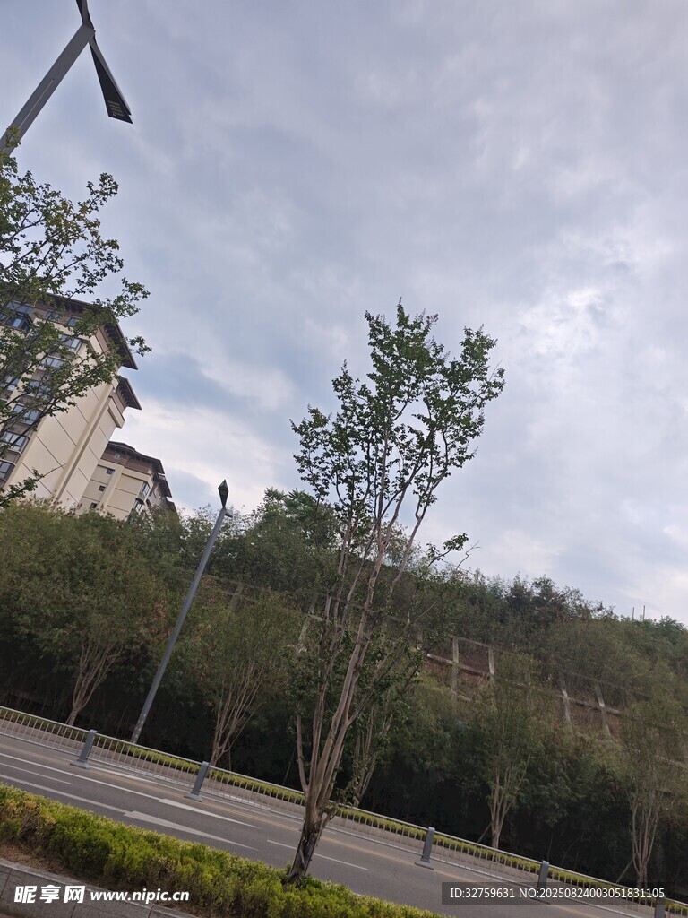 户外道路旁的树木与建筑