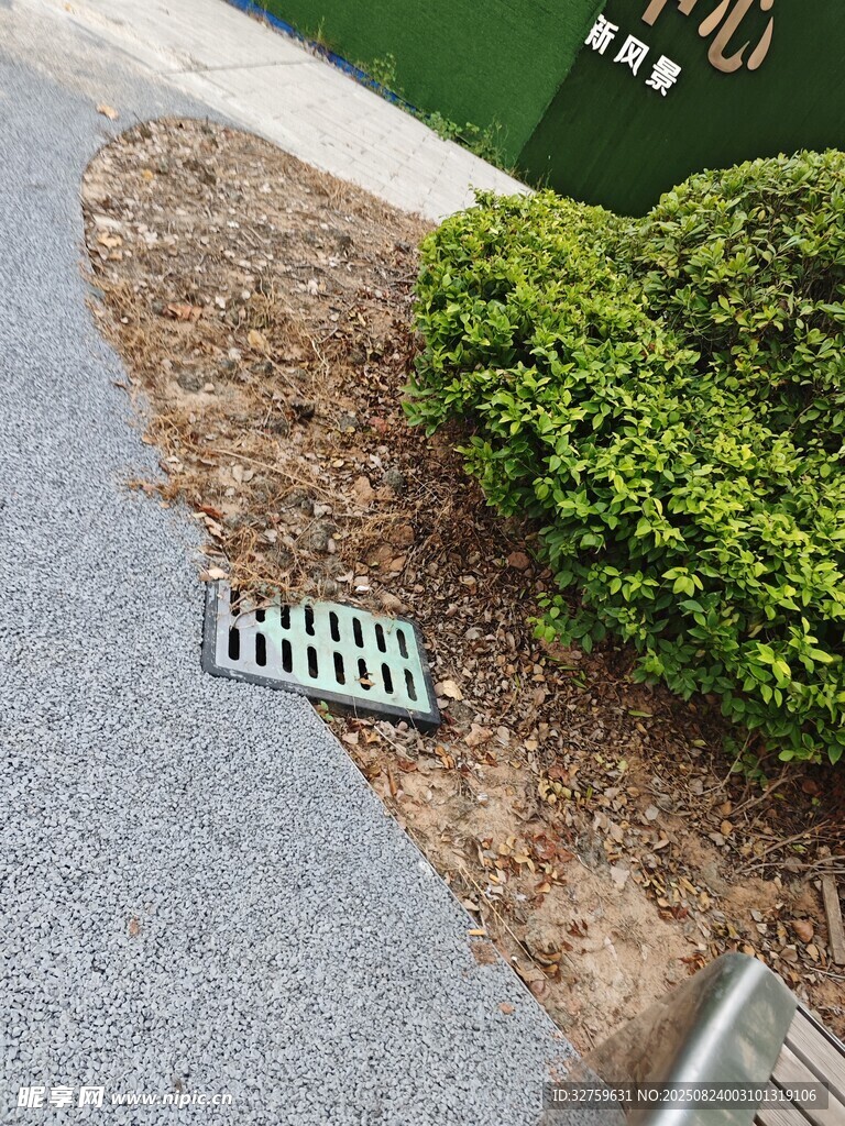 路边排水格栅与绿植景观