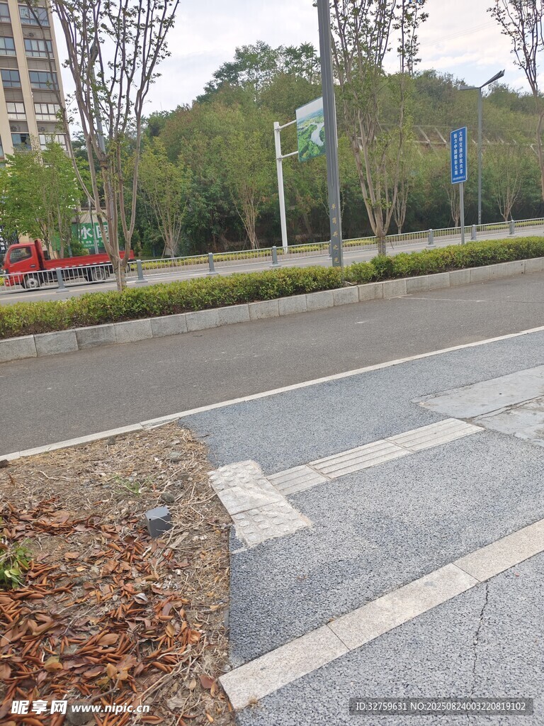 城市道路旁的绿化景观