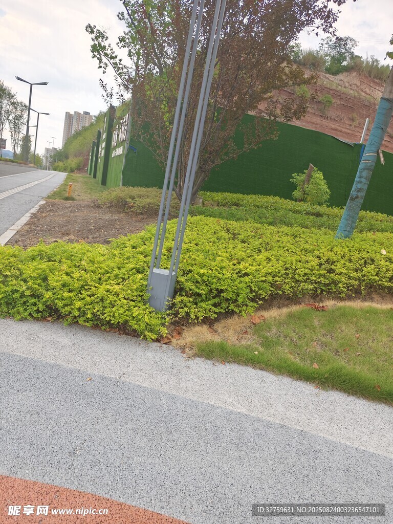 路边绿植景观