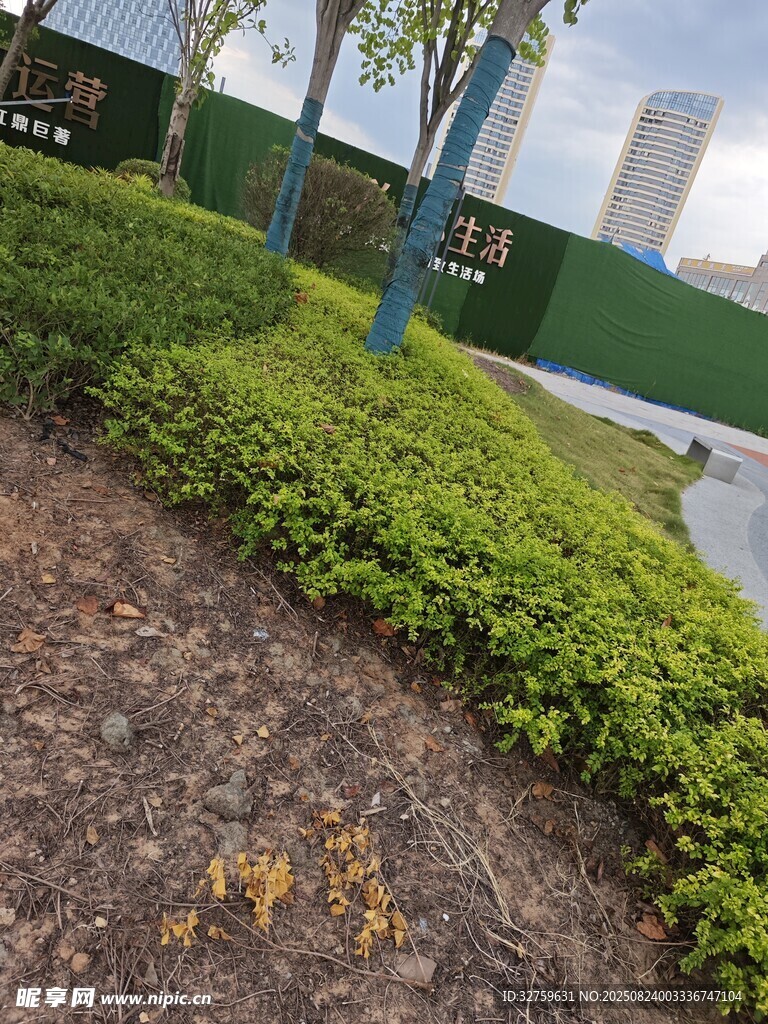 户外绿植景观一角