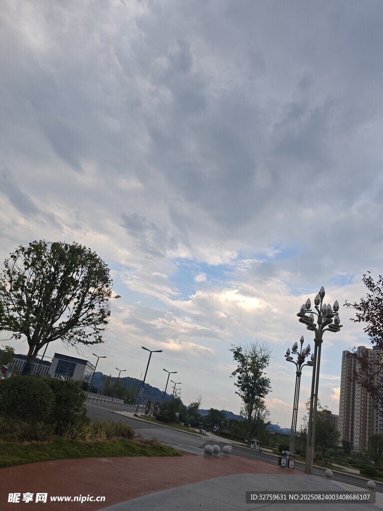 阴天的街道与树木景观