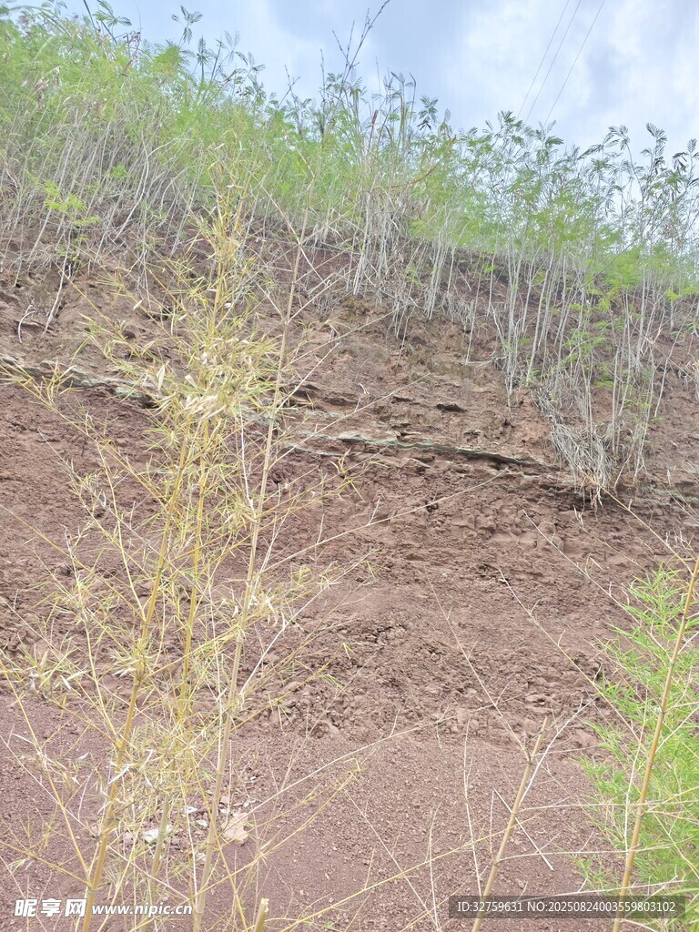 山坡裸露土壤与稀疏植被