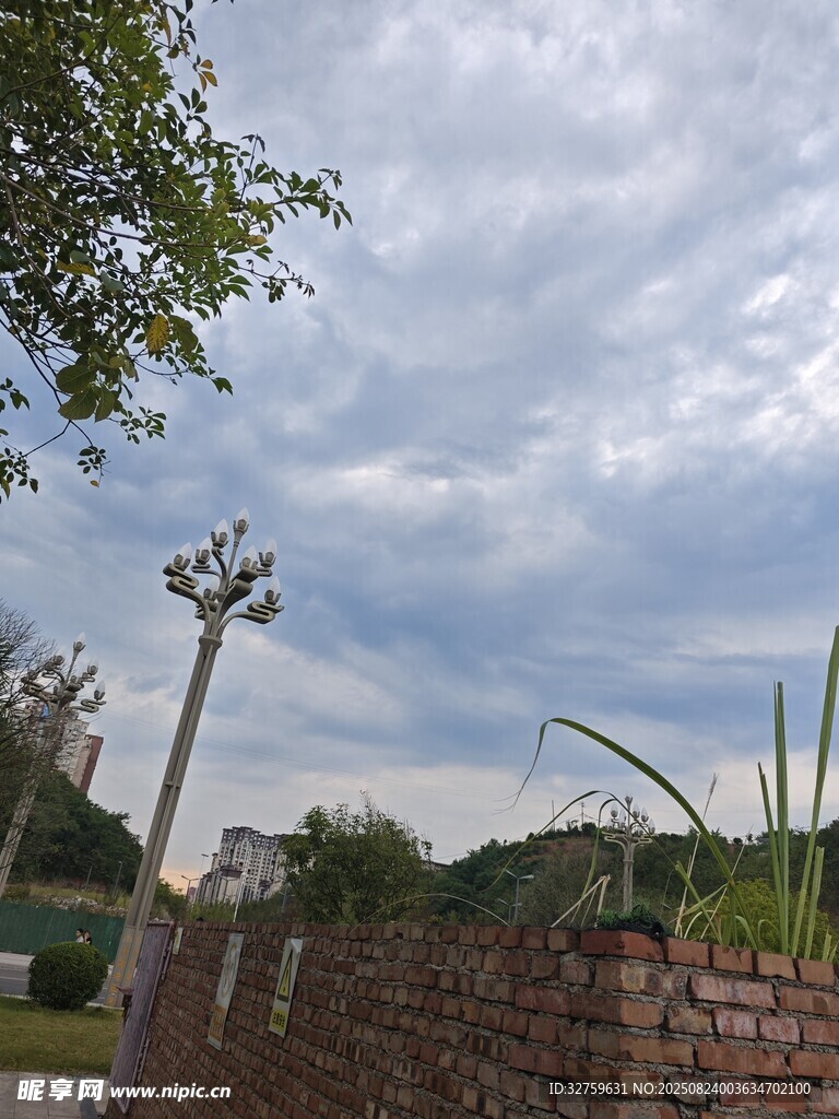 阴天户外砖墙绿植景象