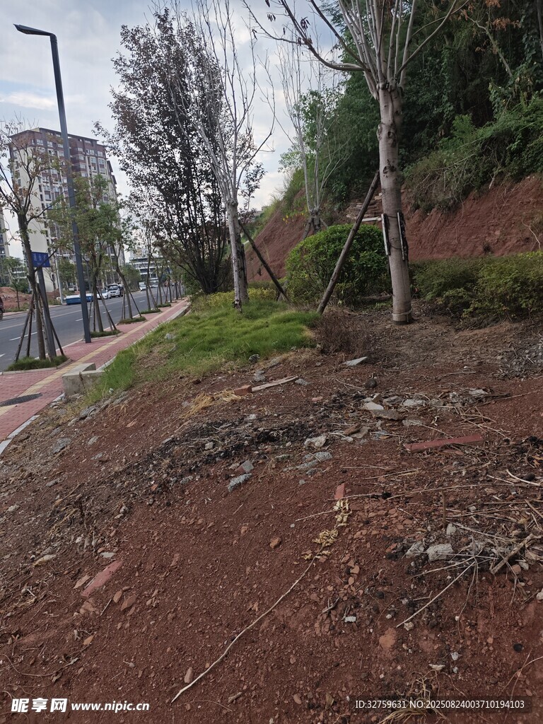 路边斜坡的自然景象