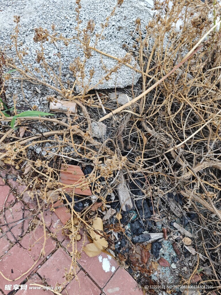 地面干枯杂草与杂物
