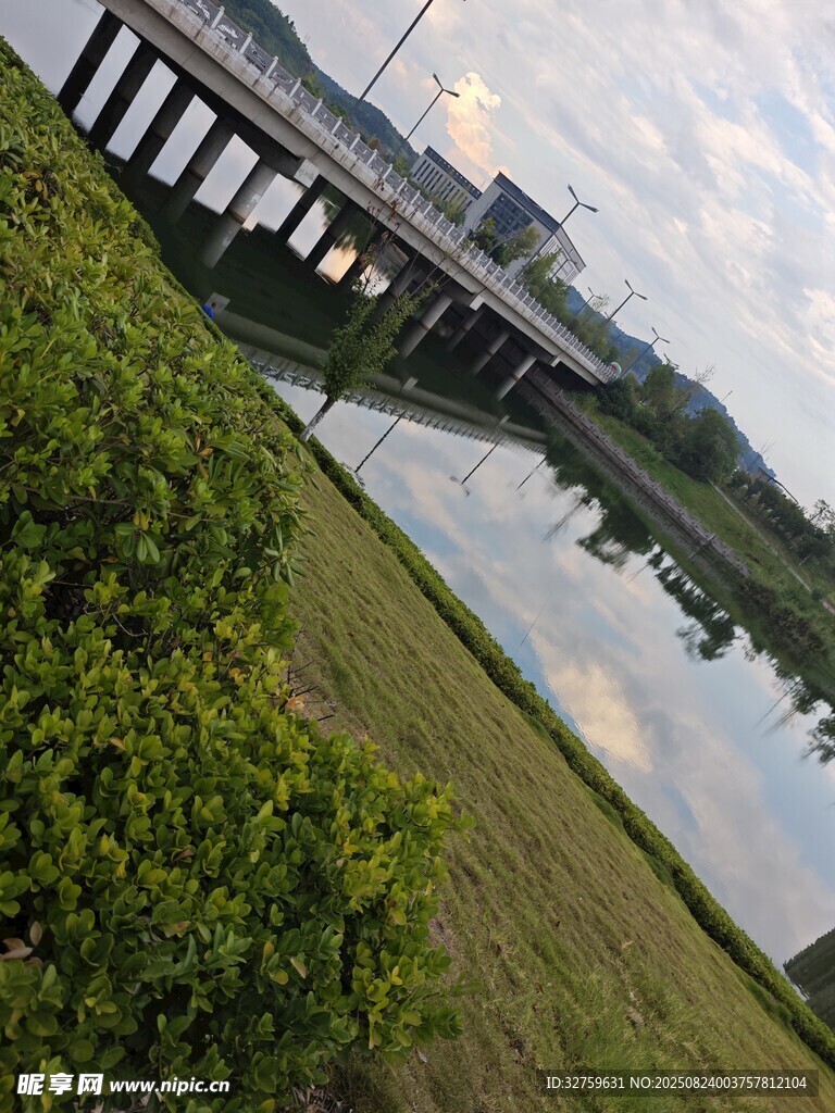 河畔桥梁与绿植风景