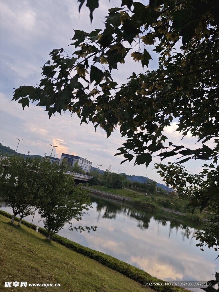 湖畔绿树映景