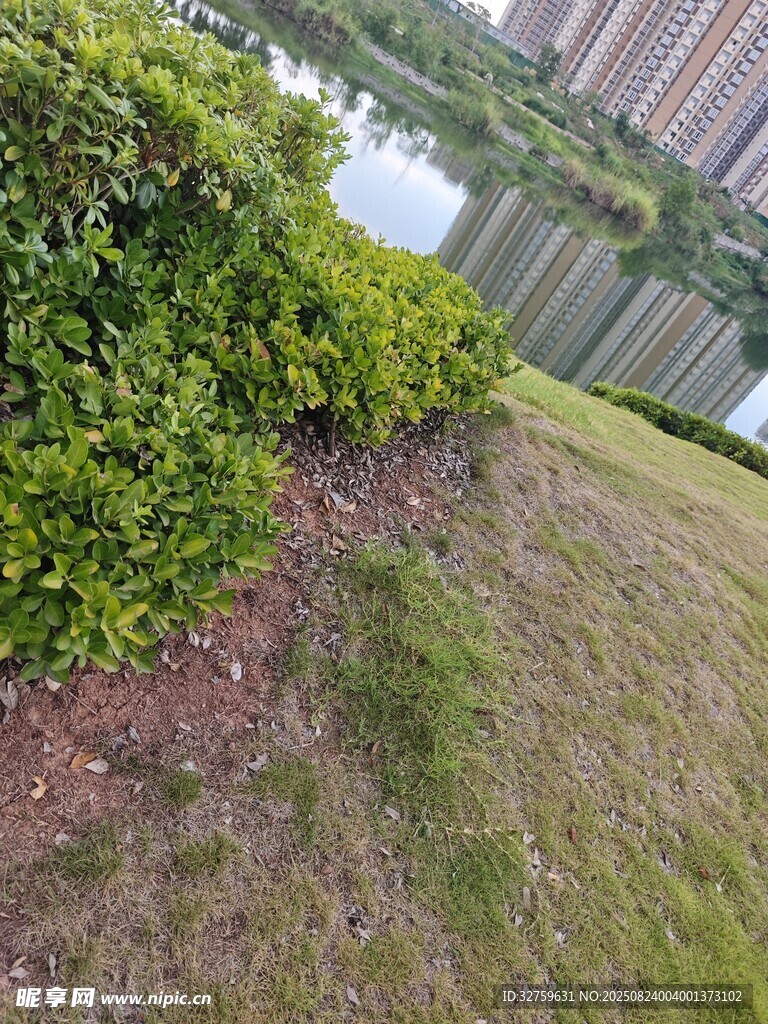户外绿植与草地景观