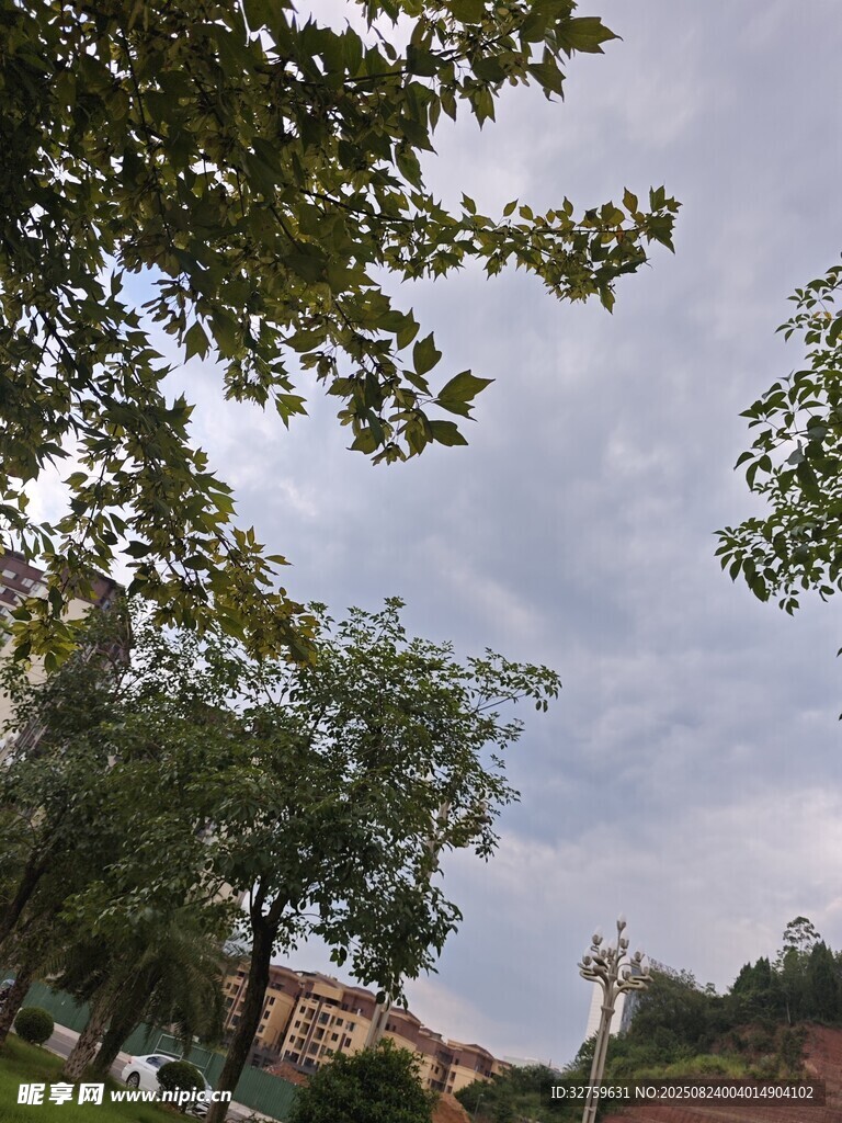 绿树掩映下的天空景象