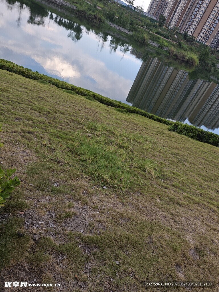 城市草地与远处高楼景观