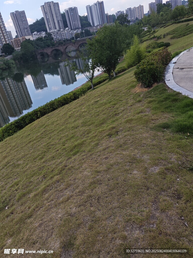 城市河畔绿地景观