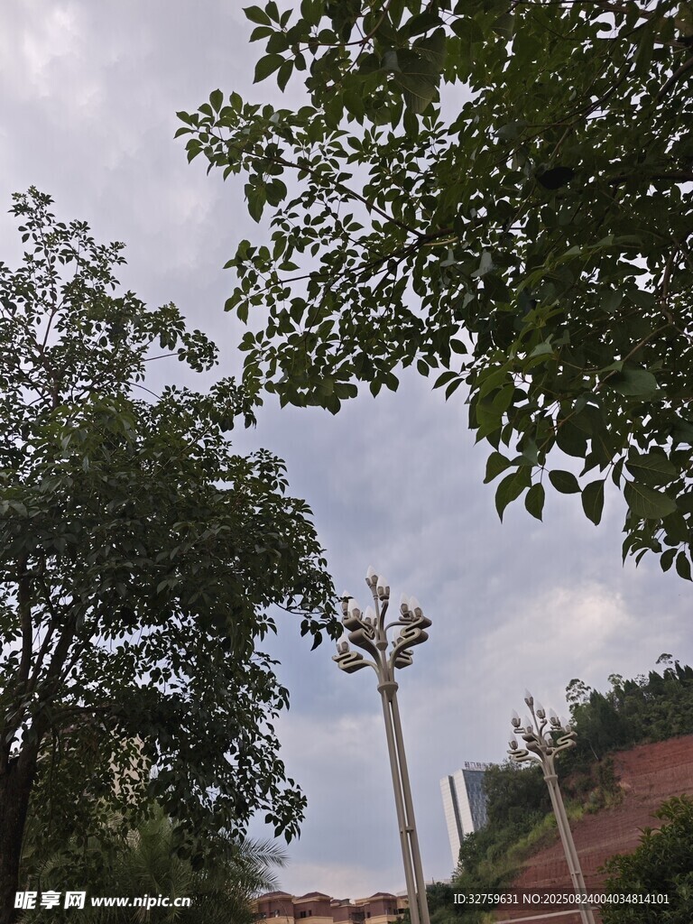 绿树掩映下的户外景致