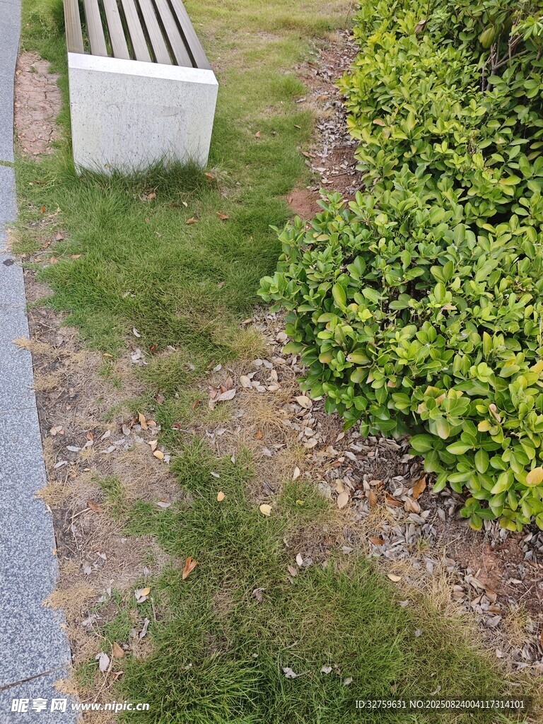 户外草地旁的白色长椅