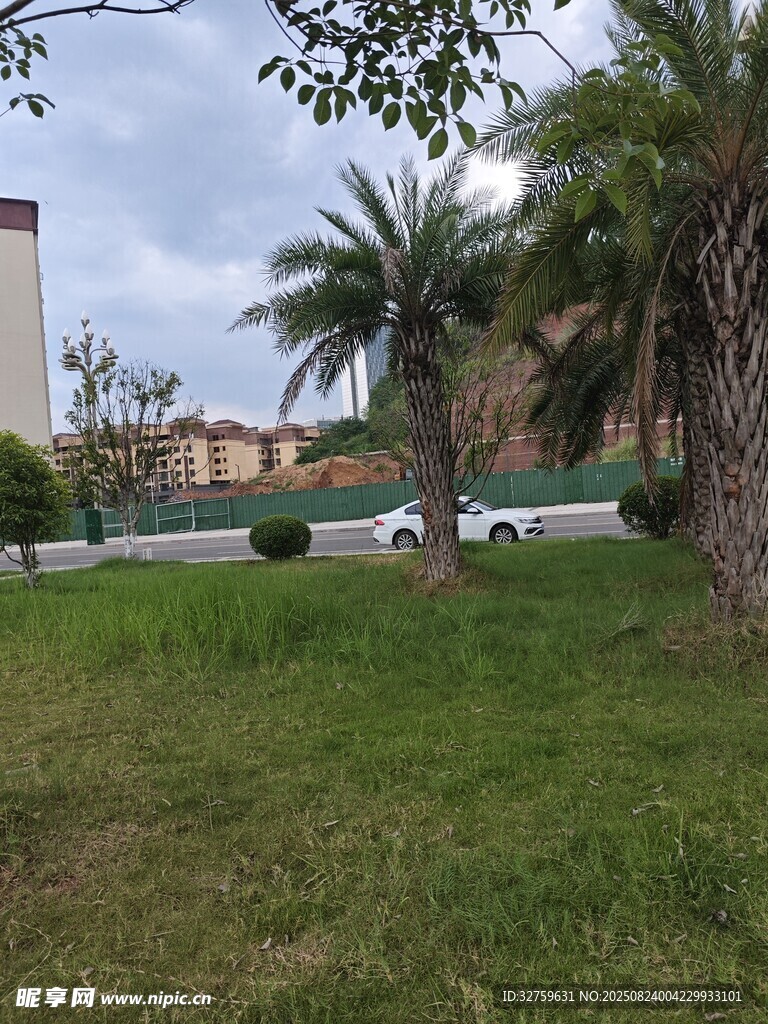 户外绿意盎然的开阔场景