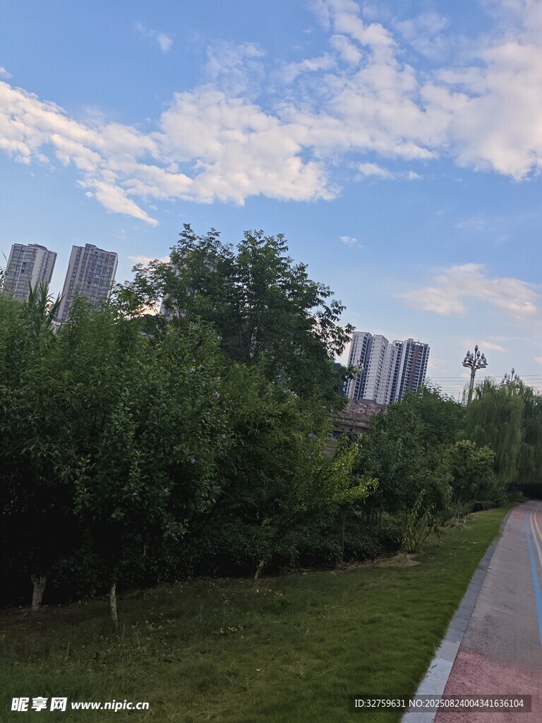 城市林荫小道风景