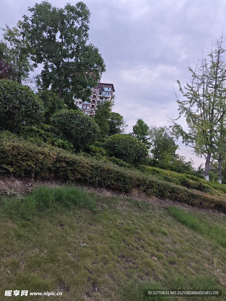 郊外绿意盎然的自然景致
