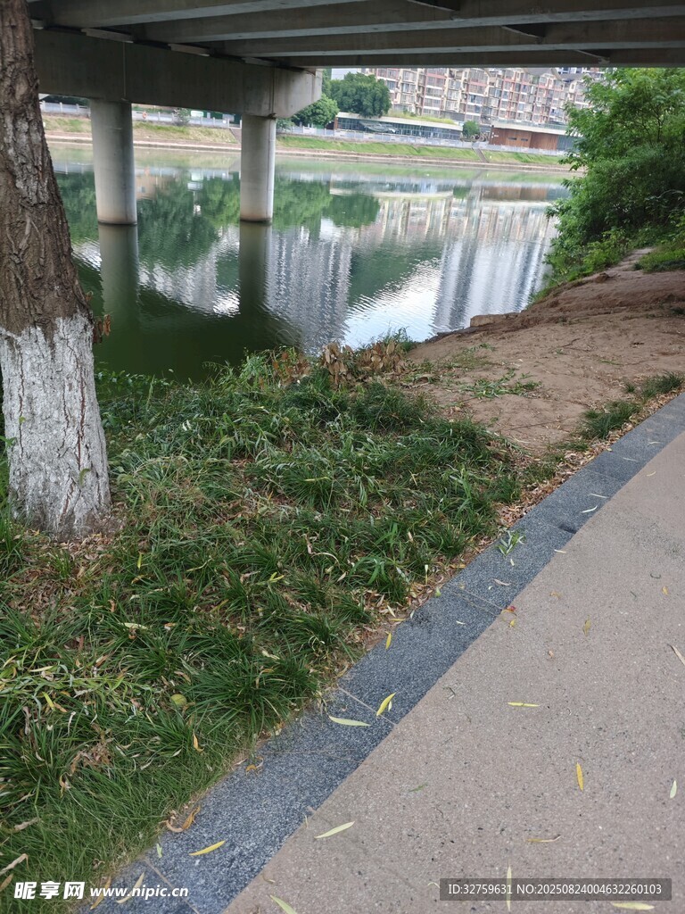 桥下河畔的静谧风景